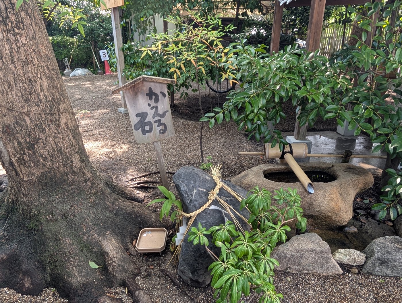 かえる石。入口を入ってすぐのところにある