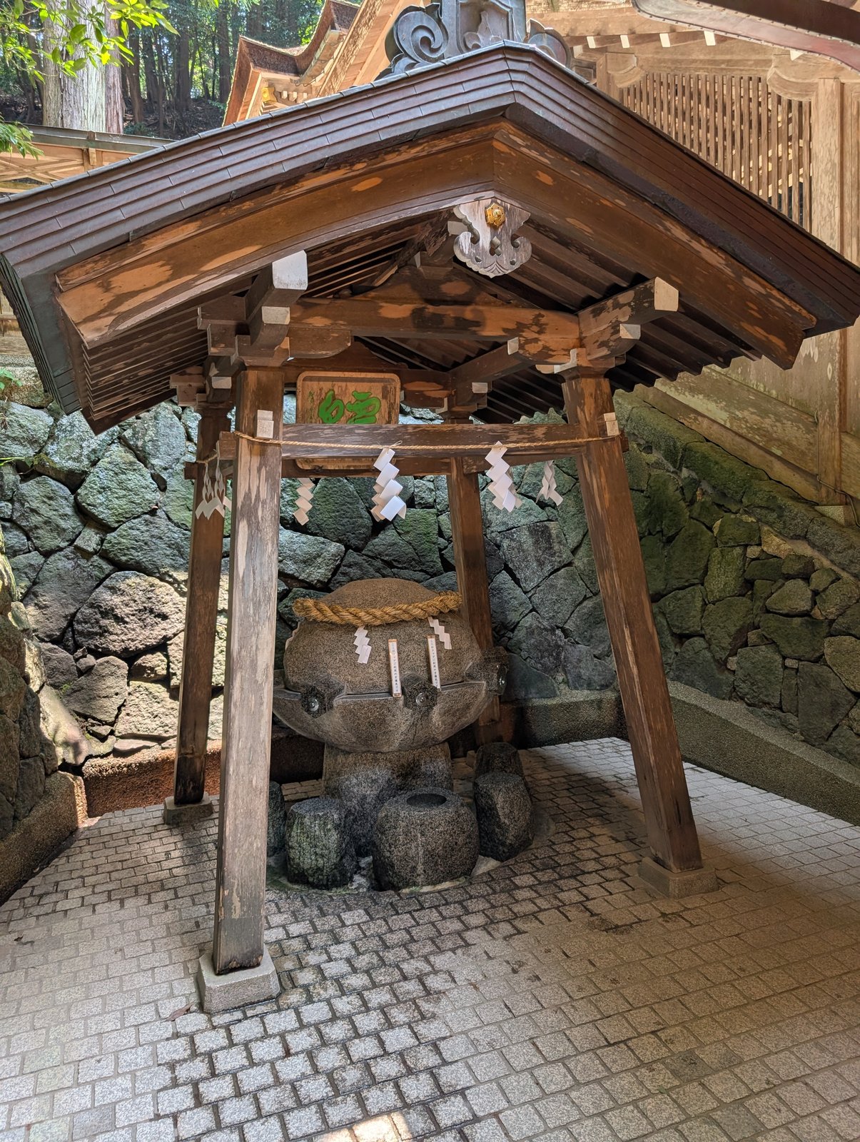 薬井戸