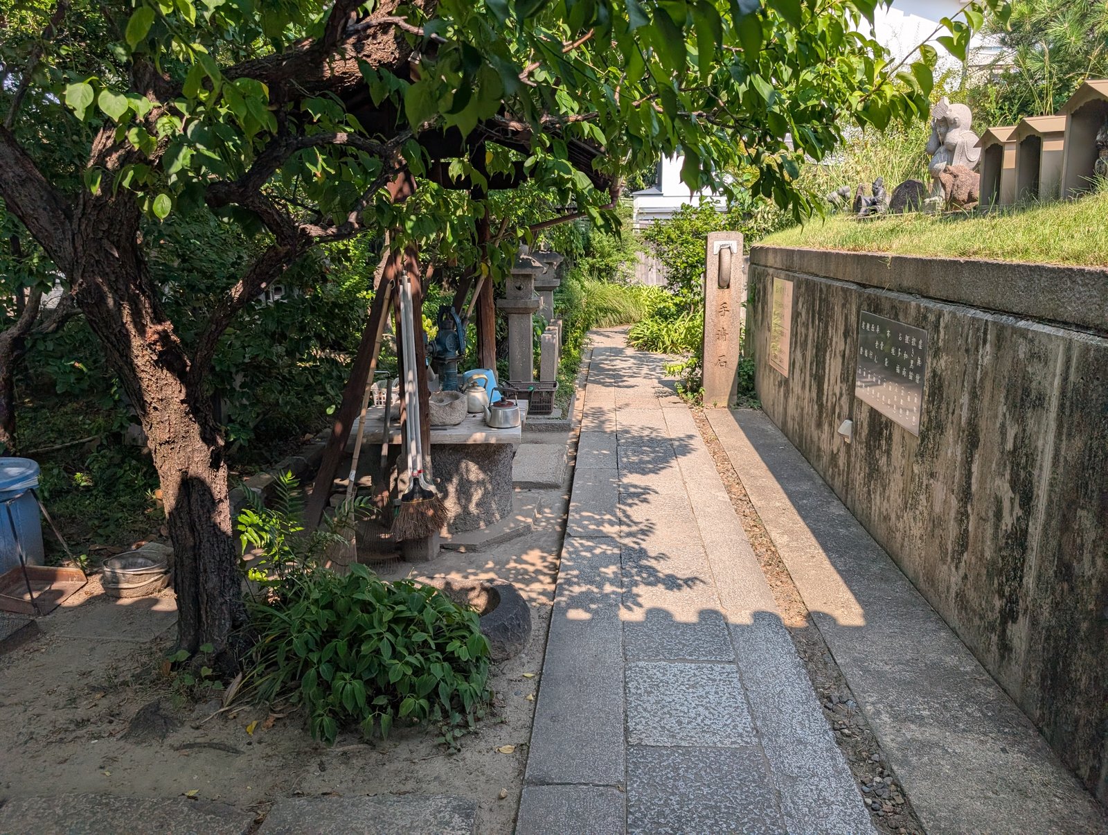 露地の小道を進む