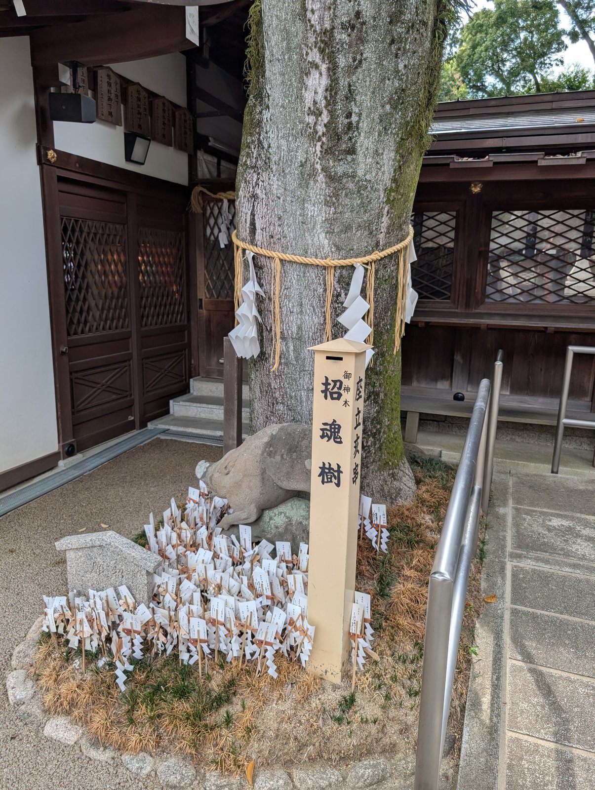 御神木の招魂樹と、根元に並ぶ座立亥串(2026-08-22 撮影)